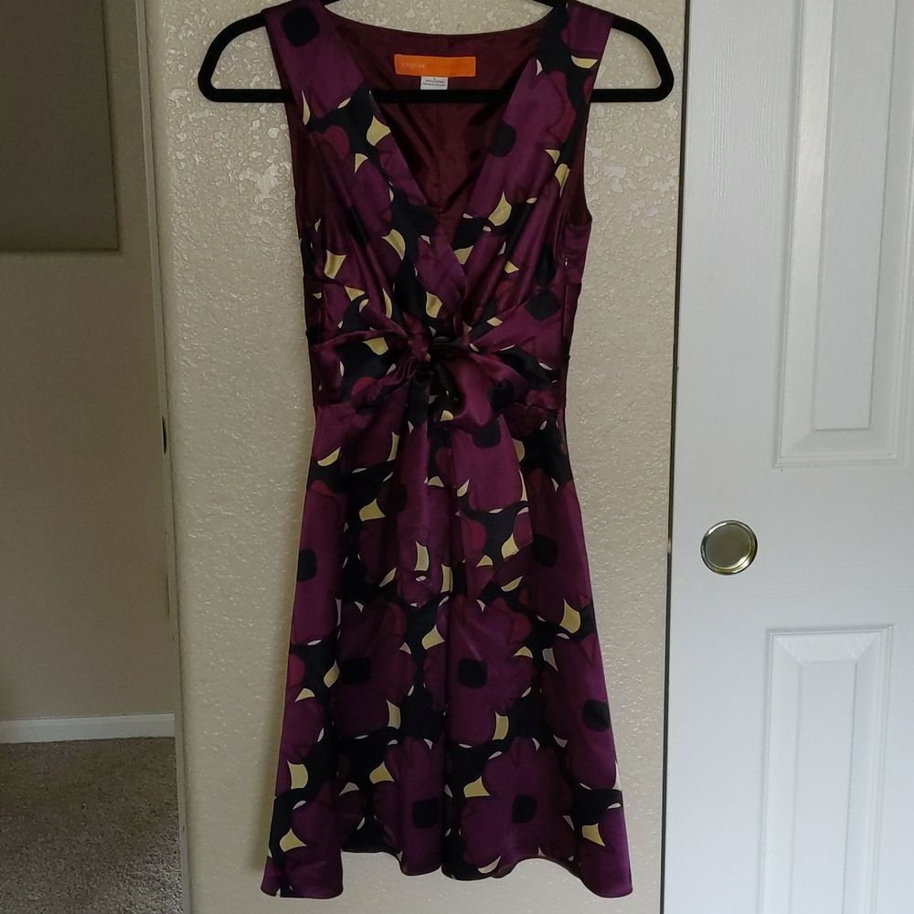Cynthia Steffe 100% Silk Dress Fit and Flare Purple Bow 2
